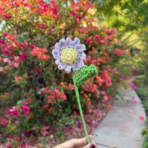 Crochet Daisy