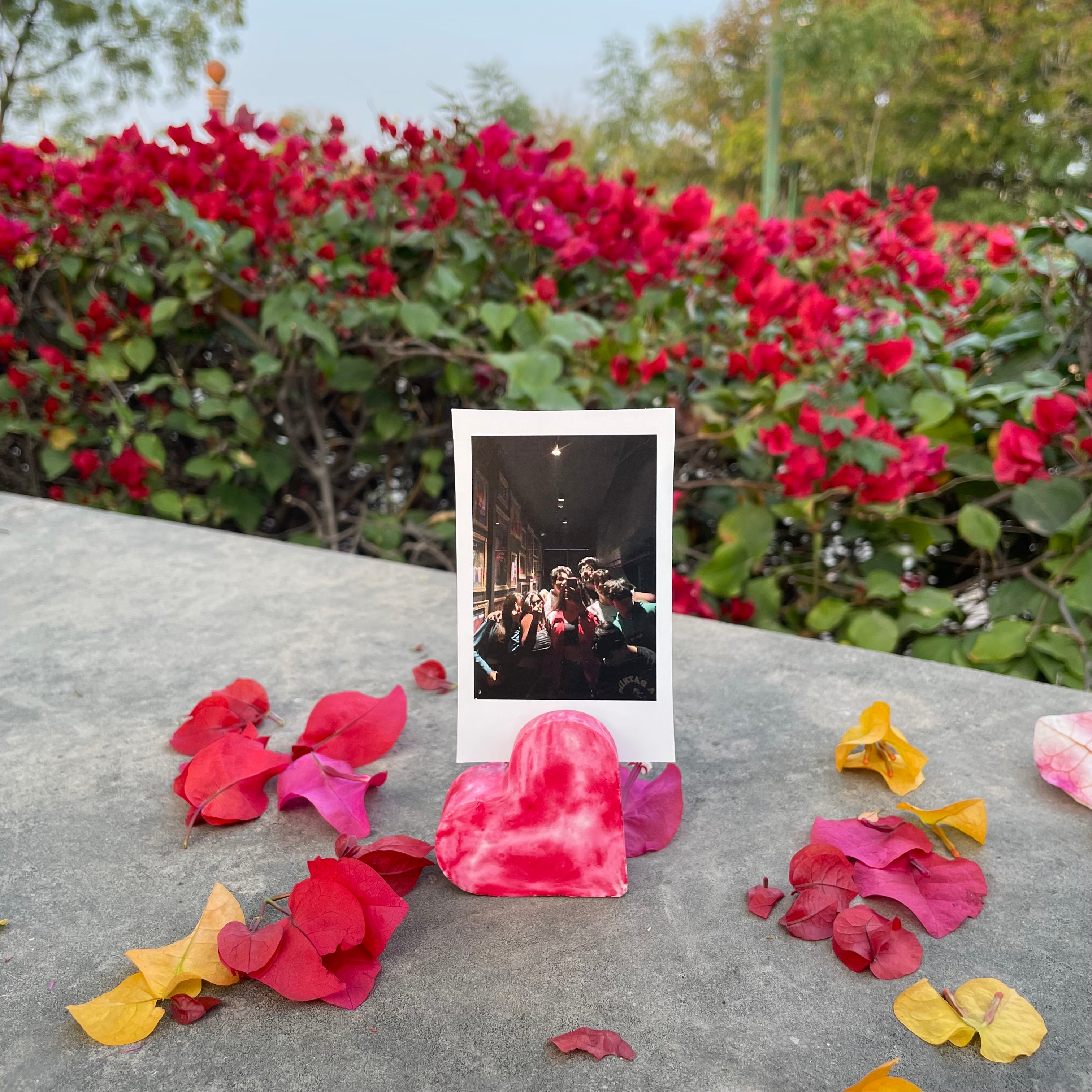 Red Polaroid Stand