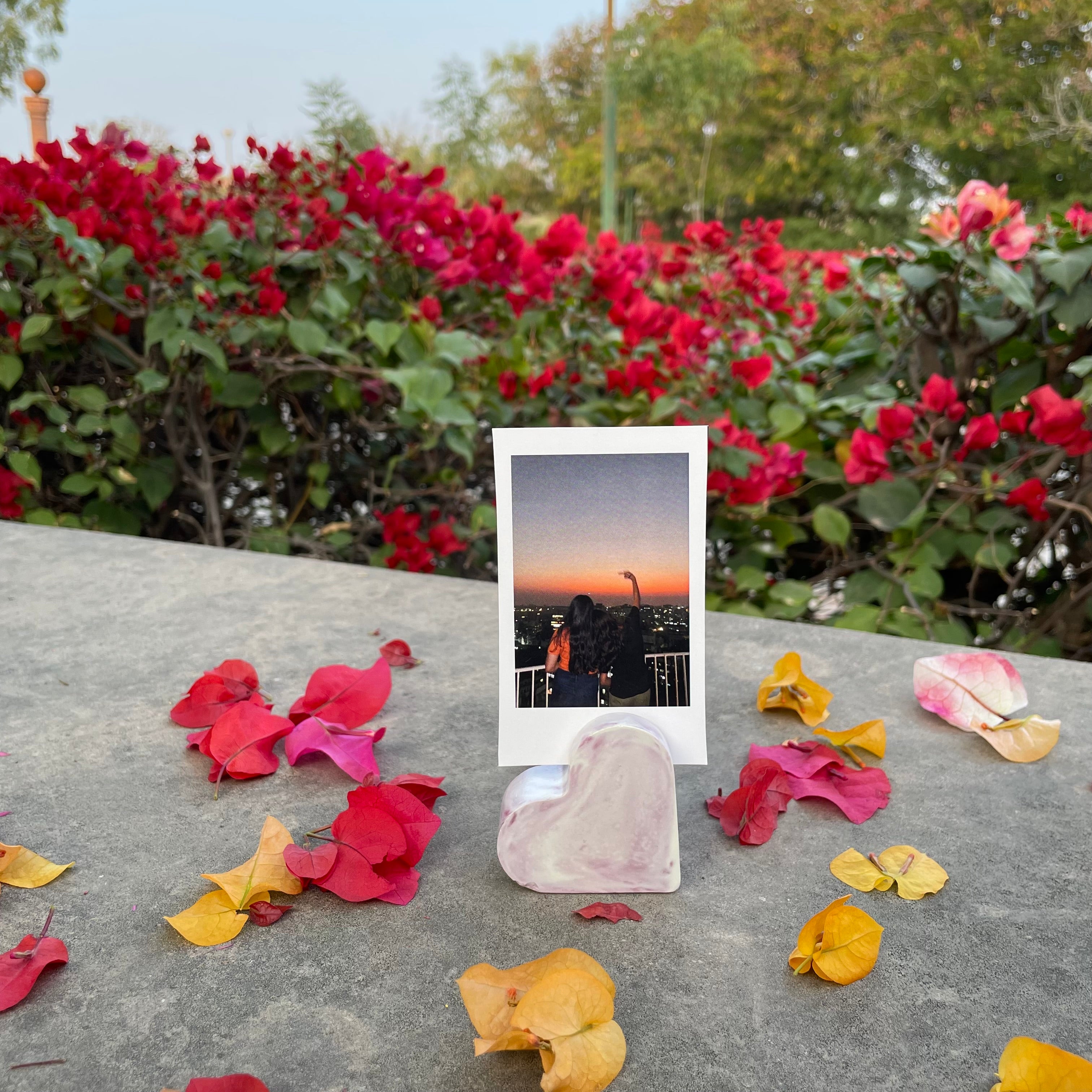 Burgandy Polaroid Stand