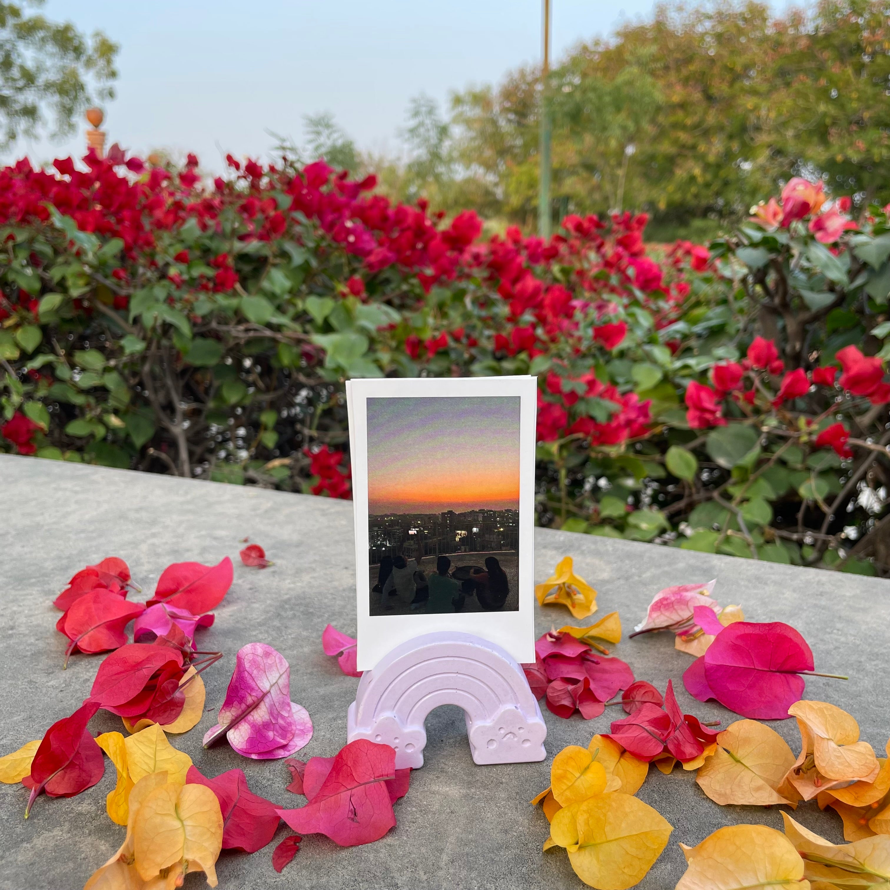 Lavender Polaroid Stand