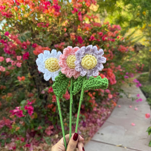 Crochet Daisy
