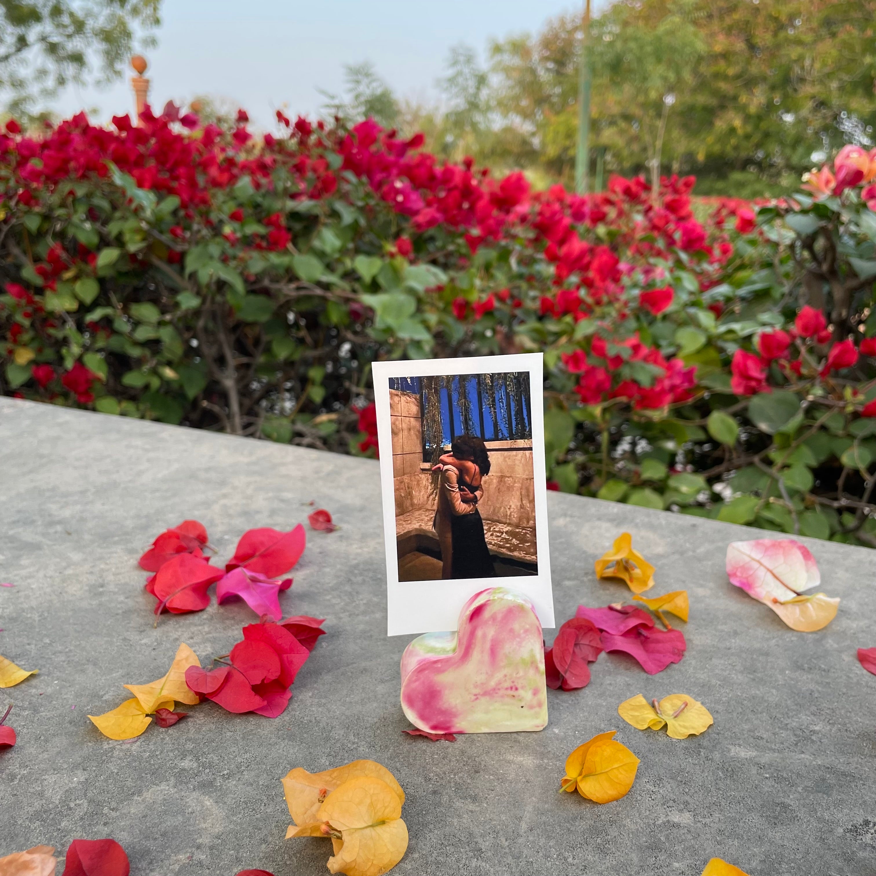 Fushia Polaroid Stand