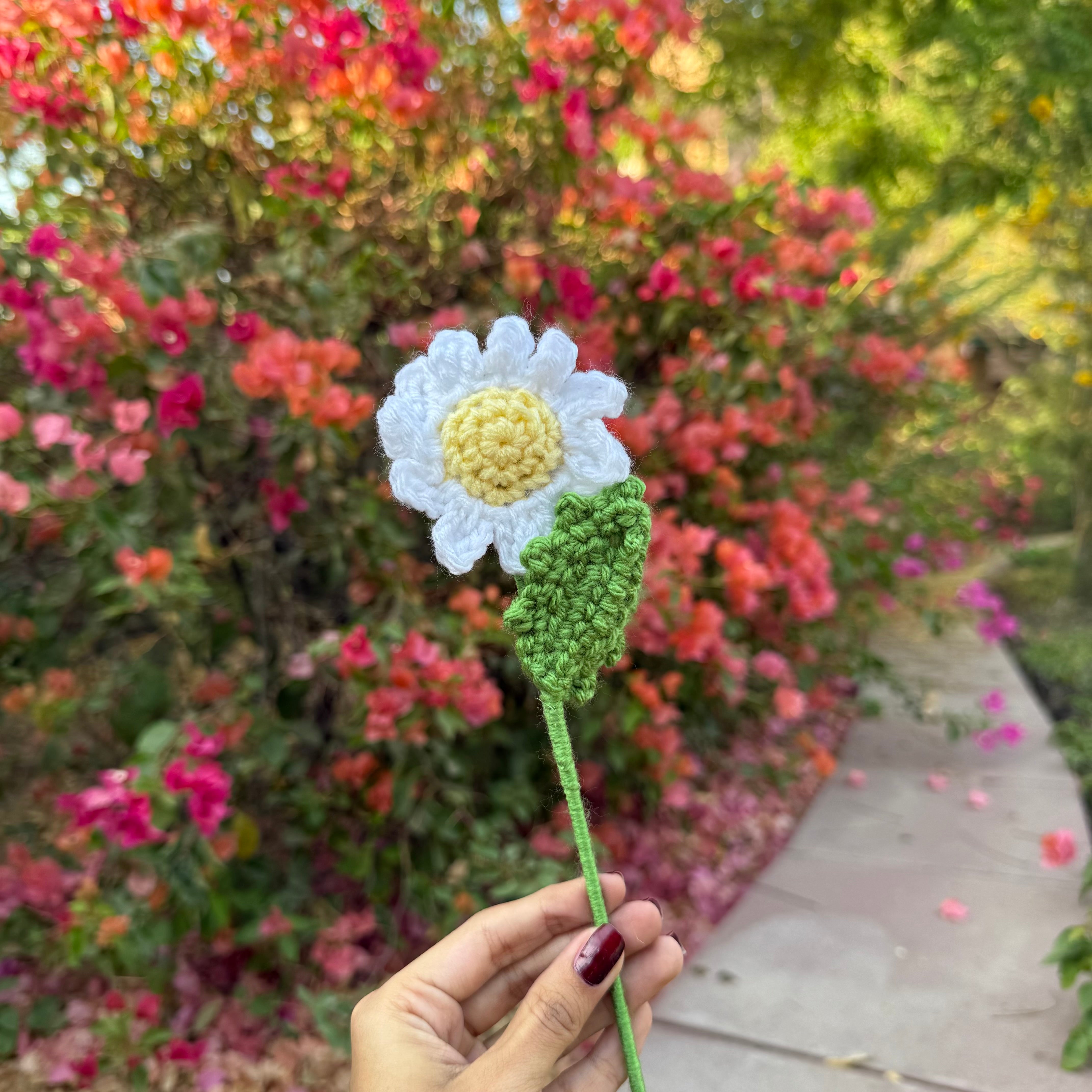 Crochet Daisy