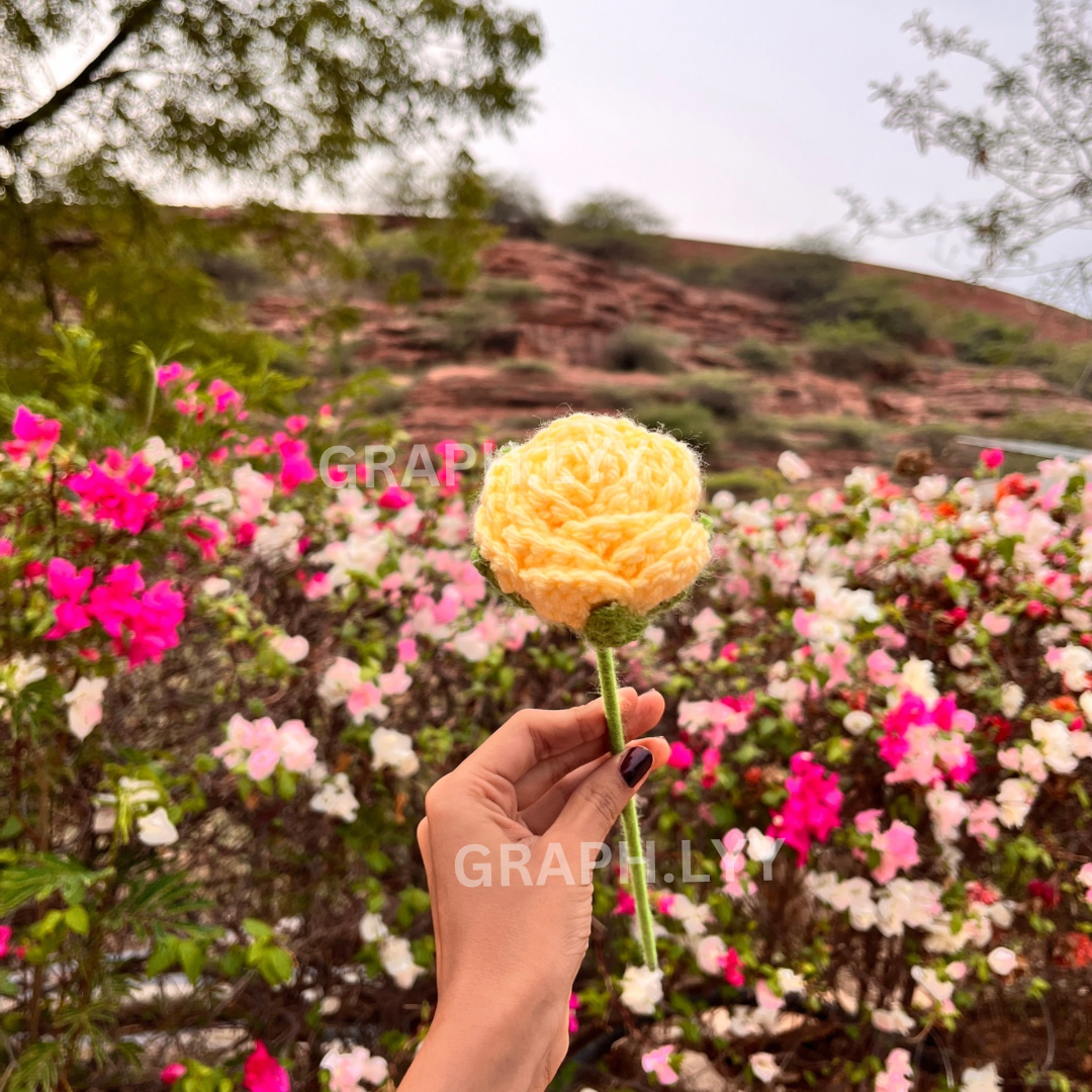 Crochet Rose