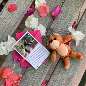 Mini Teddy Keychain + Personalized Love Note